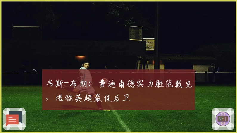 韦斯-布朗：费迪南德实力胜范戴克，堪称英超最佳后卫